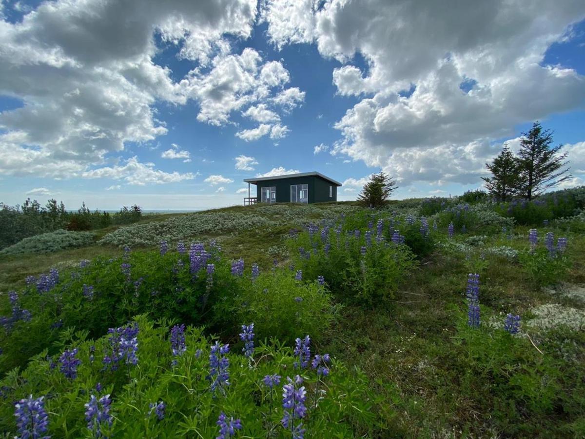 Skeithvellir Panorama House Villa Хела Екстериор снимка